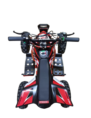 Quad électrique pour enfants E-QD03L